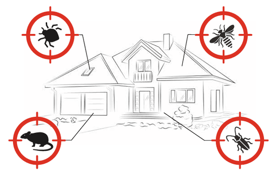 Schéma couvertures anti-nuisibles