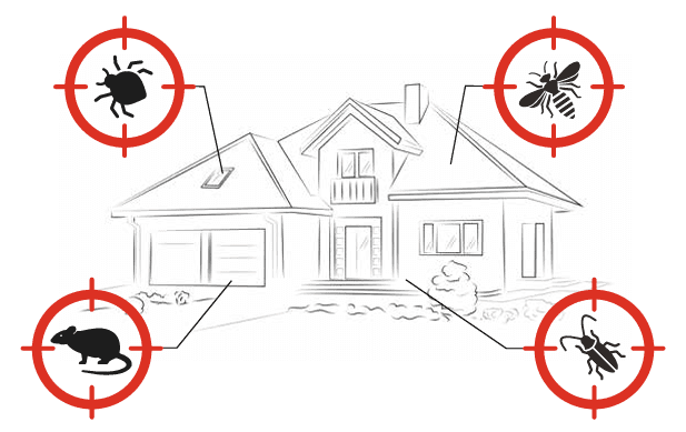 Schéma couvertures anti-nuisibles